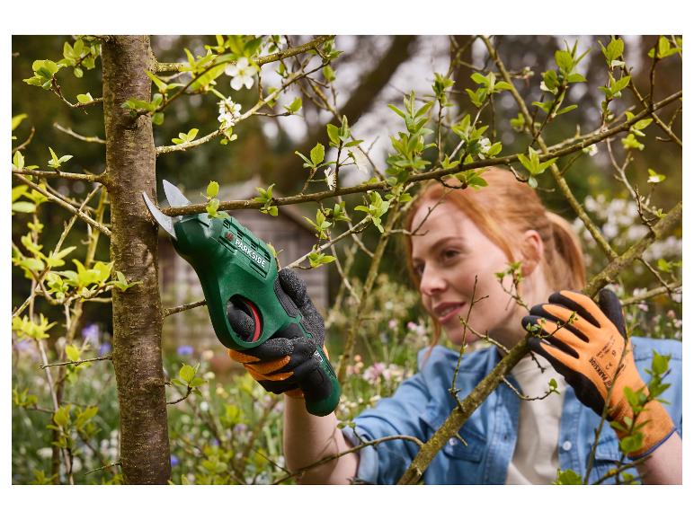 PARKSIDE® Επαναφορτιζόμενο Ψαλίδι Κήπου 4V PAGS 4 A1 – Μπαταρία 4Ah